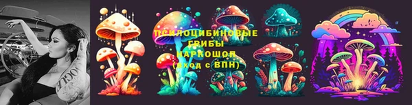СК Верея