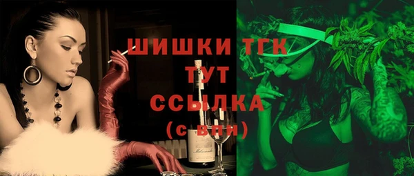 ешки Верхний Тагил
