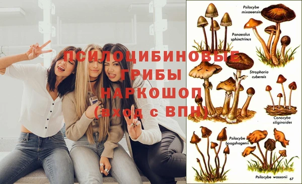 ешки Верхний Тагил