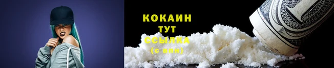 индика Володарск