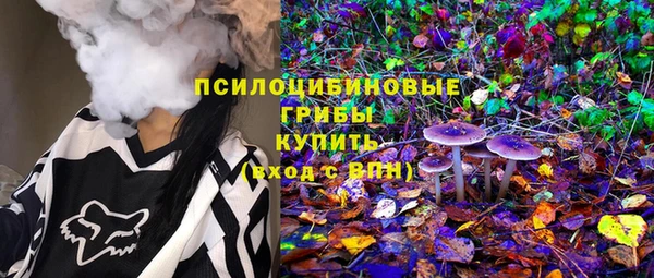 ешки Верхний Тагил
