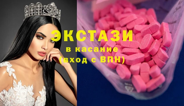 индика Володарск