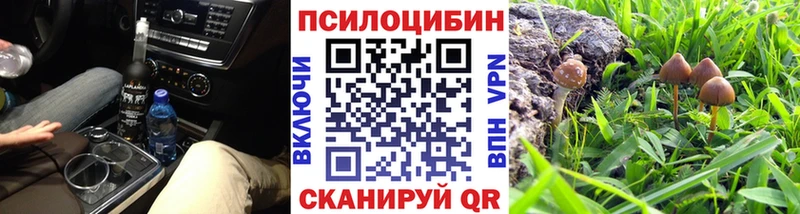 купить  сайты  Калтан  Галлюциногенные грибы мухоморы 